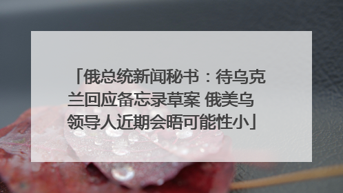 俄总统新闻秘书：待乌克兰回应备忘录草案 俄美乌领导人近期会晤可能性小