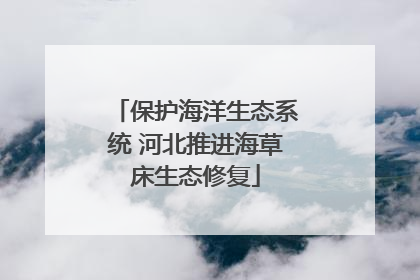 保护海洋生态系统 河北推进海草床生态修复