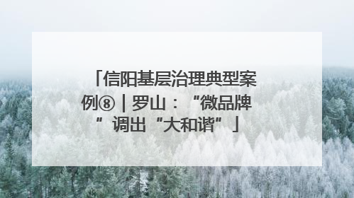 信阳基层治理典型案例⑧｜罗山：“微品牌”调出“大和谐”