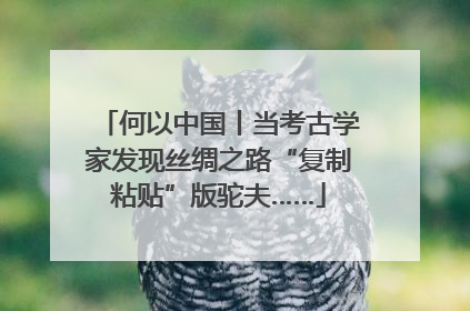 何以中国丨当考古学家发现丝绸之路“复制粘贴”版驼夫……