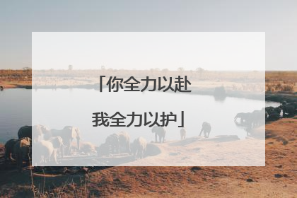 你全力以赴 我全力以护