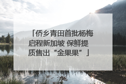 侨乡青田首批杨梅启程新加坡 保鲜提质售出“金果果”