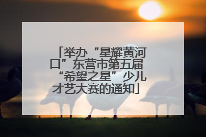 举办“星耀黄河口”东营市第五届“希望之星”少儿才艺大赛的通知