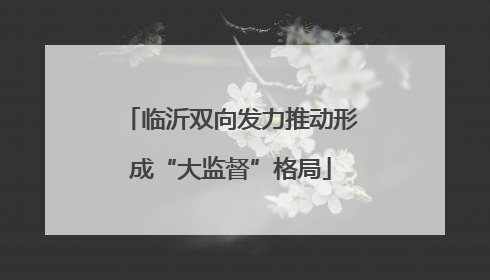 临沂双向发力推动形成“大监督”格局