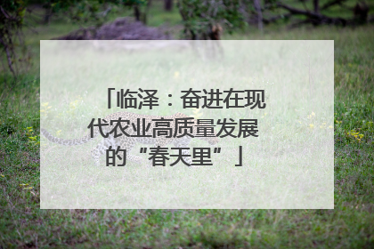 临泽：奋进在现代农业高质量发展的“春天里”