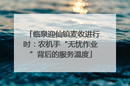 临泉迎仙镇麦收进行时：农机手“无忧作业”背后的服务温度
