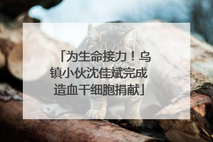 为生命接力！乌镇小伙沈佳斌完成造血干细胞捐献