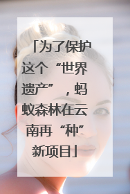 为了保护这个“世界遗产”，蚂蚁森林在云南再“种”新项目