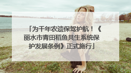 为千年农遗保驾护航！《丽水市青田稻鱼共生系统保护发展条例》正式施行