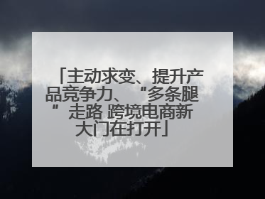 主动求变、提升产品竞争力、“多条腿”走路 跨境电商新大门在打开