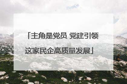 主角是党员 党建引领这家民企高质量发展
