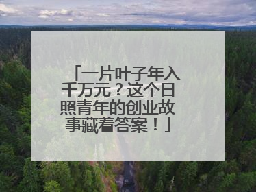 一片叶子年入千万元？这个日照青年的创业故事藏着答案！