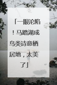 一眼沦陷！马踏湖成鸟类诗意栖居地，太美了