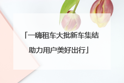 一嗨租车大批新车集结 助力用户美好出行