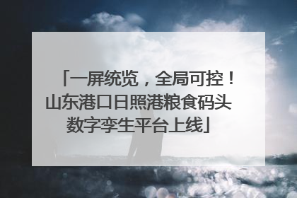 一屏统览，全局可控！山东港口日照港粮食码头数字孪生平台上线