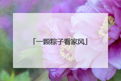 一颗粽子看家风