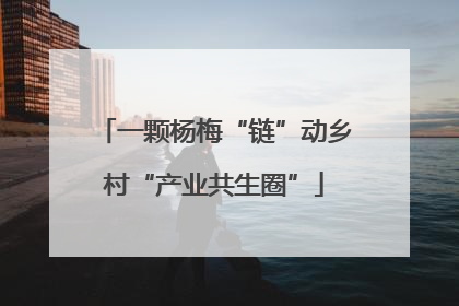 一颗杨梅“链”动乡村“产业共生圈”