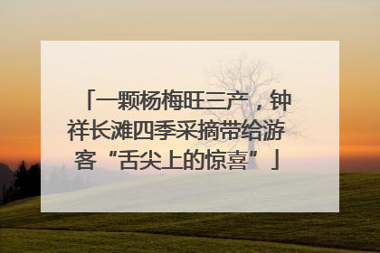 一颗杨梅旺三产，钟祥长滩四季采摘带给游客“舌尖上的惊喜”