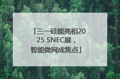 三一硅能亮相2025 SNEC展，智能微网成焦点