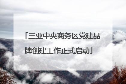 三亚中央商务区党建品牌创建工作正式启动