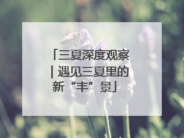 三夏深度观察｜遇见三夏里的新“丰”景
