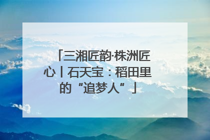 三湘匠韵·株洲匠心丨石天宝：稻田里的“追梦人”
