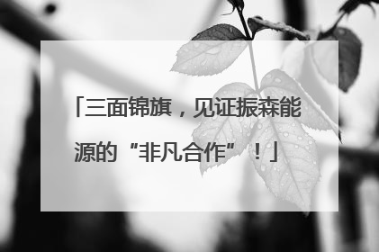 三面锦旗，见证振森能源的“非凡合作”！