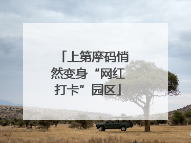 上第摩码悄然变身“网红打卡”园区