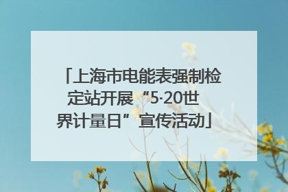 上海市电能表强制检定站开展“5·20世界计量日”宣传活动