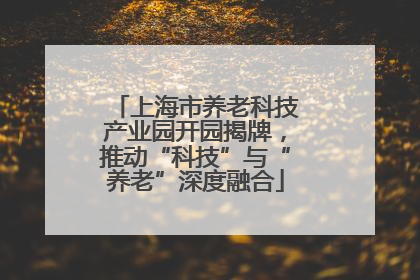 上海市养老科技产业园开园揭牌，推动“科技”与“养老”深度融合