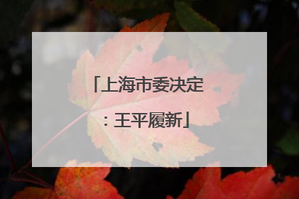 上海市委决定：王平履新