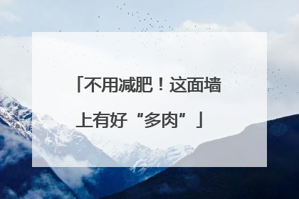 不用减肥！这面墙上有好“多肉”