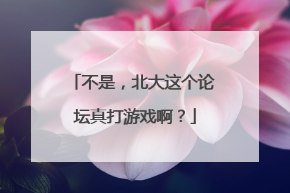不是，北大这个论坛真打游戏啊？