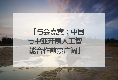 与会嘉宾：中国与中亚开展人工智能合作前景广阔