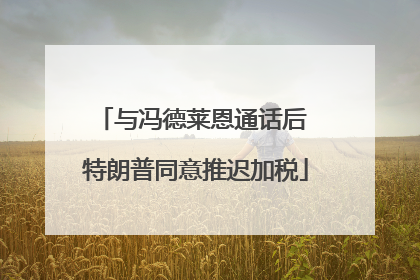 与冯德莱恩通话后 特朗普同意推迟加税