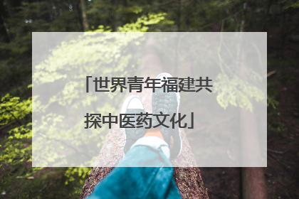世界青年福建共探中医药文化