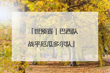 世预赛｜巴西队战平厄瓜多尔队