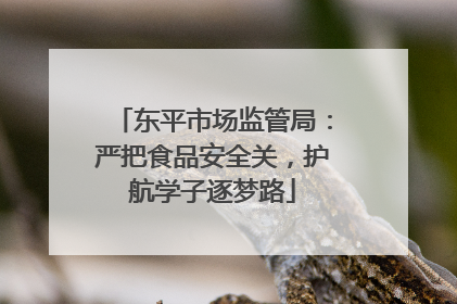 东平市场监管局：严把食品安全关，护航学子逐梦路