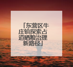 东营区牛庄镇探索占道晒粮治理新路径