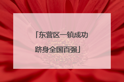 东营区一镇成功跻身全国百强