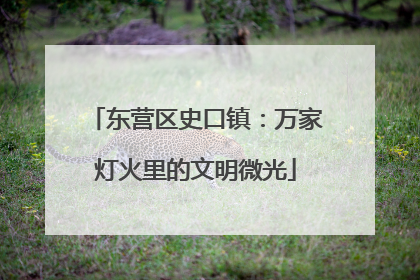 东营区史口镇：万家灯火里的文明微光