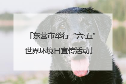 东营市举行“六·五”世界环境日宣传活动