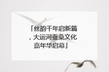 丝韵千年启新篇，大运河蚕桑文化嘉年华启幕
