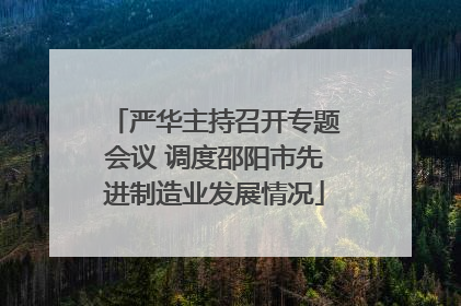 严华主持召开专题会议 调度邵阳市先进制造业发展情况