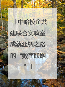 中哈校企共建联合实验室成就丝绸之路的“数字联姻”