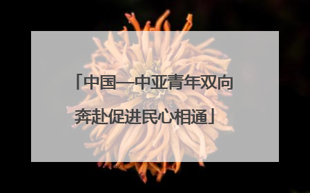 中国—中亚青年双向奔赴促进民心相通