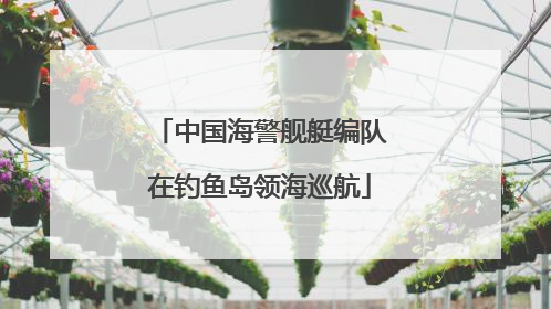 中国海警舰艇编队在钓鱼岛领海巡航