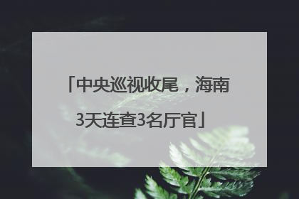 中央巡视收尾，海南3天连查3名厅官
