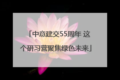 中意建交55周年 这个研习营聚焦绿色未来