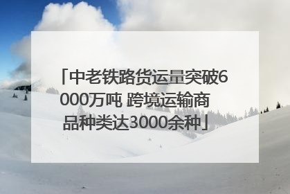 中老铁路货运量突破6000万吨 跨境运输商品种类达3000余种